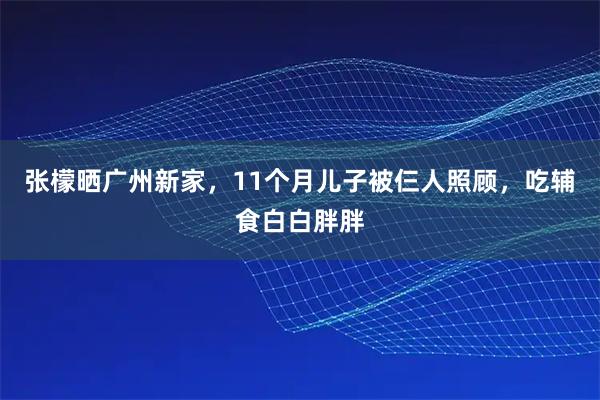 张檬晒广州新家，11个月儿子被仨人照顾，吃辅食白白胖胖
